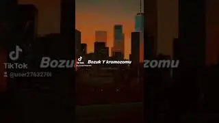 bozuk Y kromozomu🥰 lciycs