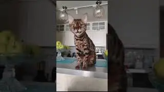 #глобальныерекомендации