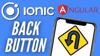 Ionic Angular Back Button - How to customize the hardware back button in Ionic Angular