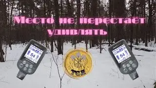 Место не перестает удивлять находками. Коп с Nokta makro simplex + (нокта макро симплекс плюс)