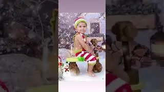 7 de dezembro de 2019