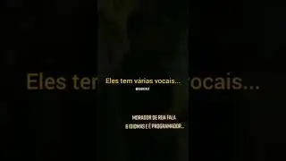 Morador de rua, programador e fala 06 idiomas