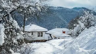 Snow Winter 2021-2022