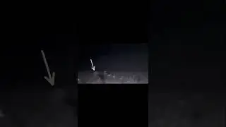 WHAT DID YALL FIND?