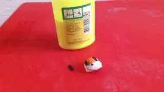 Как быстро сделать тарелку с супом для кукол(сарказм)