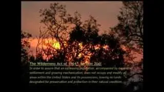 Wilderness Defined