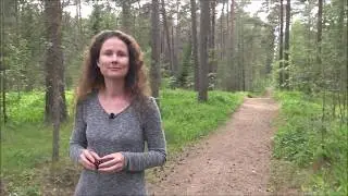 Sulle on kutse Methodraie kursusele!