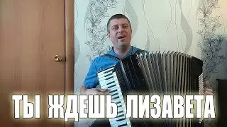 Ты ждёшь Лизавета на аккордеоне Аккордеонист(аккордеон кавер)