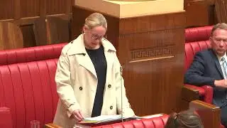 Speech - Sex Industry Exit Strategies and Spent Convictions
