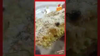 🍰Curd Pie with Shortbread Crumbs Without Kneading: Quick and Easy