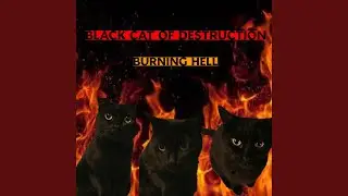 K.V.G. (Kats Verse the Goverment)