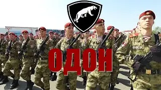 Отдельная Дивизия Оперативного Назначения имени Ф.Э.Дзержинского