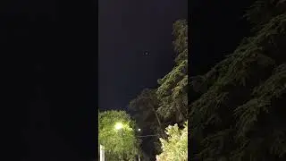гиганты летают над головой 😁