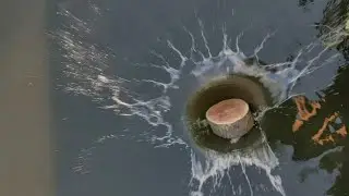 wood turning London Plane