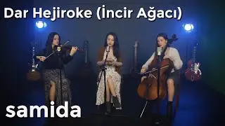 Samida - Dar Hejiroke ( İncir Ağacı)