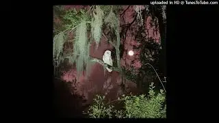 [FREE] yeat + 2093  + martyr type beat - DIEINYOURARMS