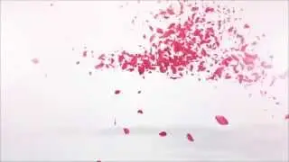 After Effects Project Files   Petals Logo Reveal  VideoHive