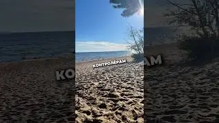 Признаки контроля в комментариях