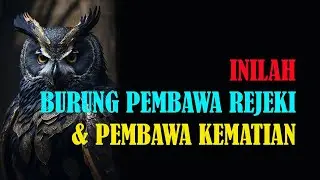 10 BURUNG PEMBAWA KEBERUNTUNGAN & PEMBAWA KEMATIAN