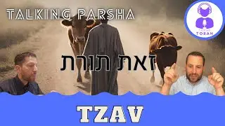 Parashat Tzav: What’s Torah?? (Talking Parsha - Tzav)