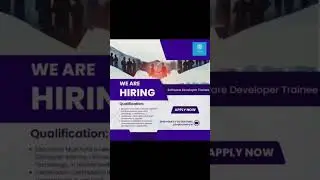 anlog designer | developer | HR | job openings