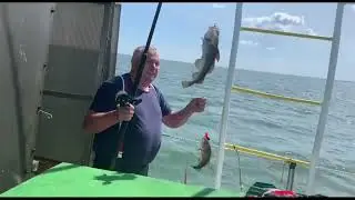 Морская рыбалка ! Июльская ТРЕСКА.