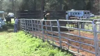 Amber and Money 3-10-12 Elberton