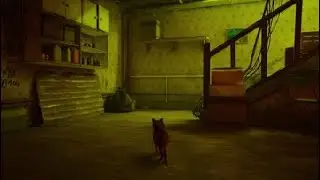 Stray - Part 2