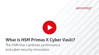 What is HSM Primus X Cyber Vault?