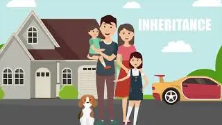 Educational content animation 