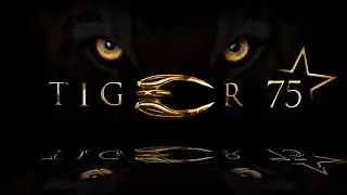 BSGO 🐯🌟75 TigerStar75