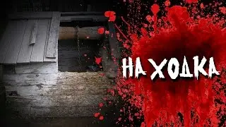 Страшная история на ночь - Находка