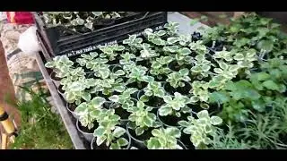 Дополнение к прошлому видео. Смотреть обязательно!!