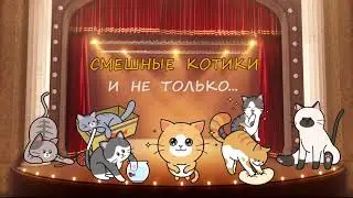 Смешные котики и не только... Выпуск 1. Рыжики. Funny cats and not only 1.