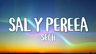 Sech - Sal y Pereea (Letra/Lyrics)