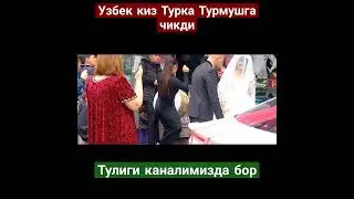 туркия туйи