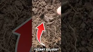 Metal Detector Uncovers Mysterious SILVER RING