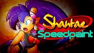 【IRL Speedpaint】Shantae