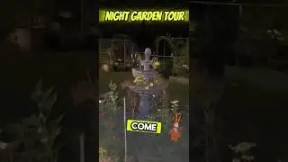 Garden Life at Night