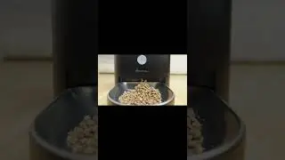 APETDOLA Automatic Cat Food Dispenser Dry Food Timed Feeders Smart Pet Feeder For Cats Dog