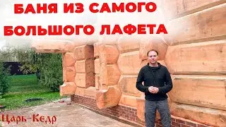Баня из Кедрового лафета большого диаметра. Сруб из Лафета Кедра.