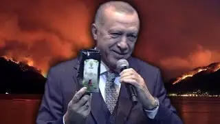 pleasure tea