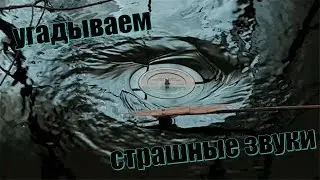 †УГАДАЙ ЧТО ЭТО ЗА ЗВУК †КАТЯ И МИТИКА†