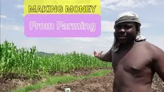 How I left Russia For Kenya To Start Vegetable Farming   Part 2