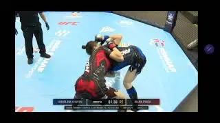European MMA Championships Serbia 2024