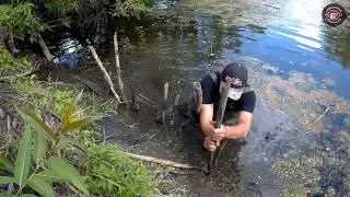 Beaver | 