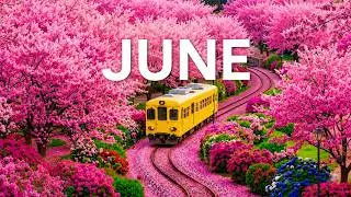June 2026 – Endless Summer Blooms 8K 🌸 Dreamy Flower Fields & Nature's Most Colorful Paradise