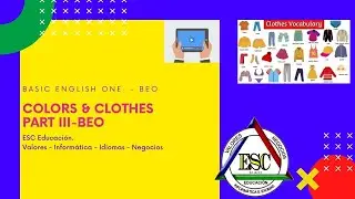 COLORS & CLOTHES 08/07/24