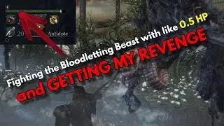 Attempting to beat the Bloodletting Beast in Bloodborne's Cummmfpk Labyrinth