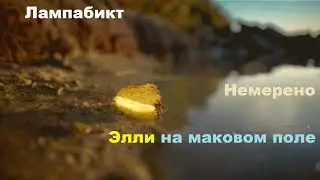 ЛавиМуз. Немерено. Лампабикт & Элли на маковом поле.